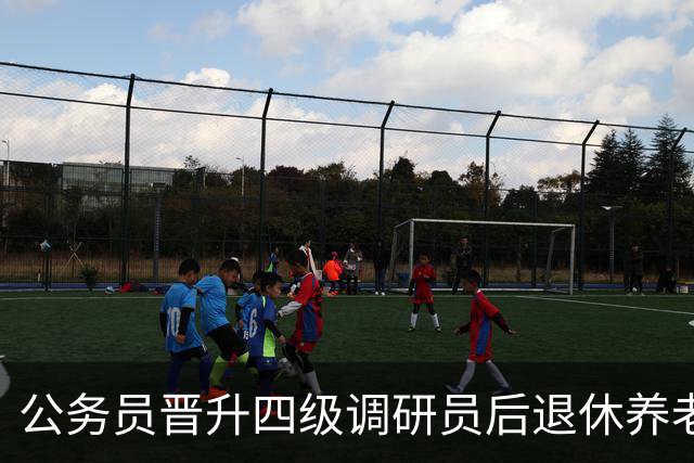 公务员晋升四级调研员后退休养老金大概能多领多少？