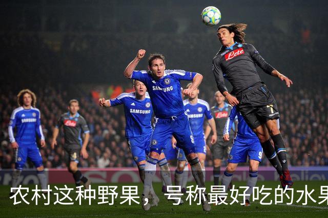 农村这种野果，号称"最好吃的水果"！插土就活，院子种几颗吃不完