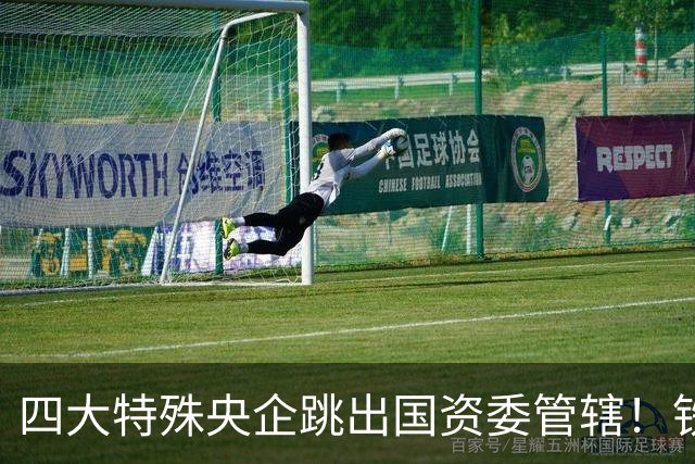 四大特殊央企跳出国资委管辖！铁路、邮政、烟草、北大荒监管逻辑