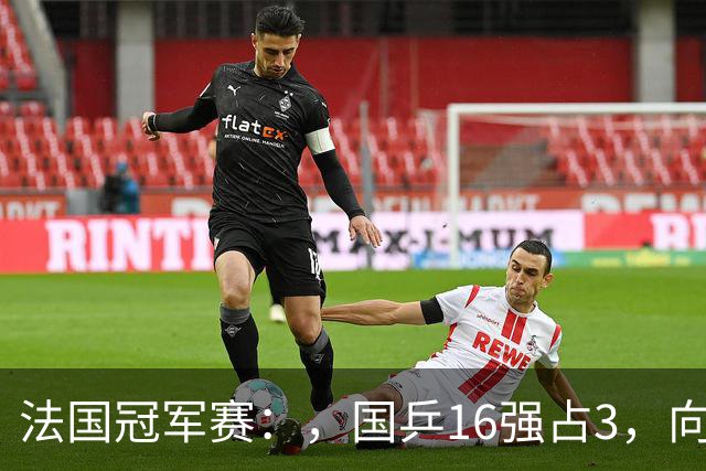 法国冠军赛：，国乒16强占3，向鹏温瑞博出炉，林诗栋梁靖崑零封！