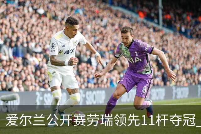 爱尔兰公开赛劳瑞领先11杆夺冠 李昊桐T14小麦T41