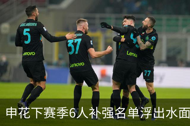 申花下赛季6人补强名单浮出水面，未来他们将挑大梁，值得期待