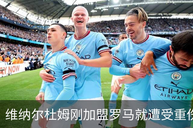 维纳尔杜姆刚加盟罗马就遭受重伤 提前告别今年比赛
