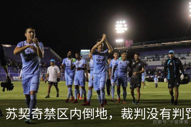 苏契奇禁区内倒地，裁判没有判罚