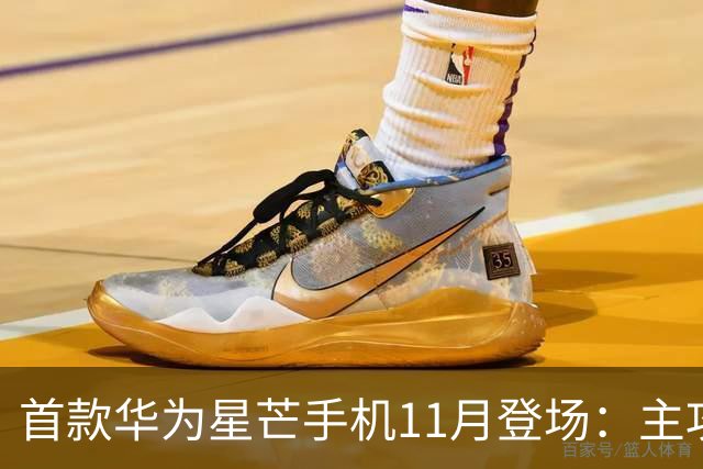 首款华为星芒手机11月登场：主攻性价比 压力给到友商