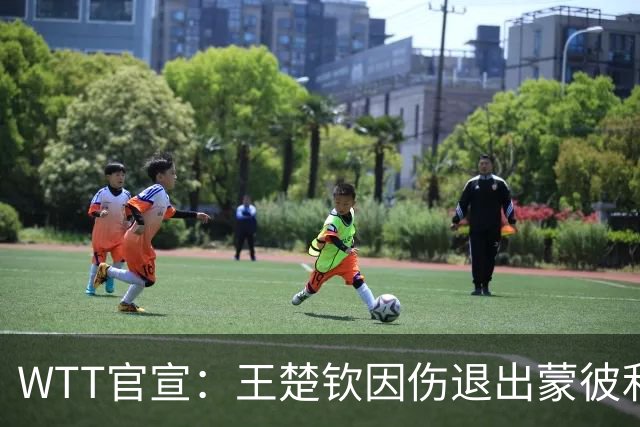 WTT官宣：王楚钦因伤退出蒙彼利埃冠军赛 连续退赛何时复出未知